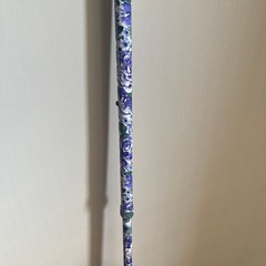 ステッキの画像