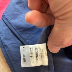 ディズニーで購入したポンチョの画像