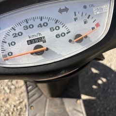 ホンダ　ライブディオ zx仕様　　　
の画像