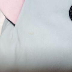 ぬいぐるみ色々1つの画像