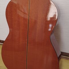 51. Zen-On ZG-250 (5点セット)の画像