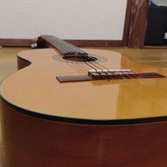 51. Zen-On ZG-250 (5点セット)の画像