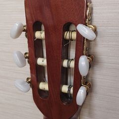 51. Zen-On ZG-250 (5点セット)の画像