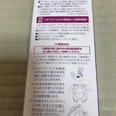 DHC 白髪用カラートリートメント　落ち着いたブラックの画像