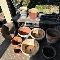植木鉢11個の画像