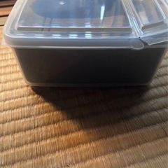 人工蛹室5個セット（ケース付き）の画像