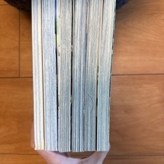 漫画　バラセットの画像