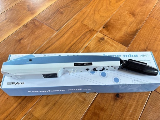 ローランド エアロフォン ミニ　Roland AE-01