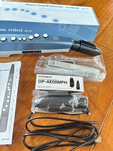 ローランド エアロフォン ミニ　Roland AE-01