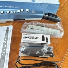 ローランド エアロフォン ミニ　Roland AE-01の画像