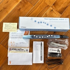 ローランド エアロフォン ミニ　Roland AE-01の画像