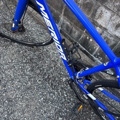 ⭐︎メダクロスウェイ300D M ライト　スタンドアブスチェーン付きの画像