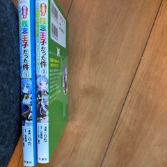 転生先が残念王子だった件　漫画　二巻セットの画像