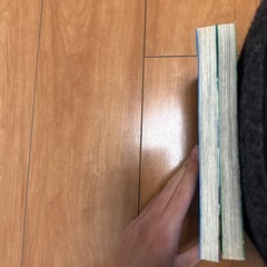 転生先が残念王子だった件　漫画　二巻セットの画像