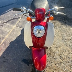 スクーピーaf55 早期取引値下げ可能の画像