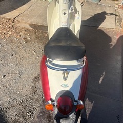 スクーピーaf55 早期取引値下げ可能の画像