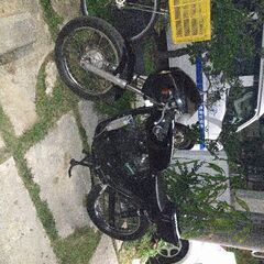 250TR  カフェレーサーの画像