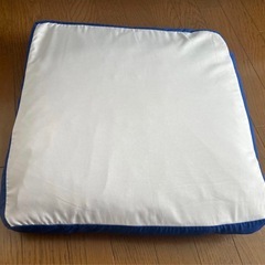 トゥルースリーパー　低反発座布団の画像