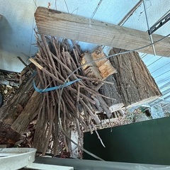 薪、焚き火、薪ストーブなどにの画像