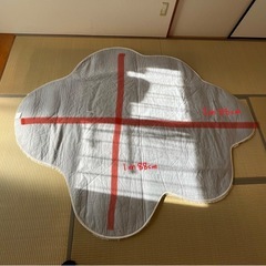 雲型ラグマットの画像