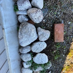 庭石　　菰野石　約90個の画像