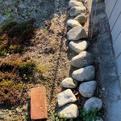 庭石　　菰野石　約90個の画像