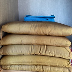 0円　座布団5枚の画像