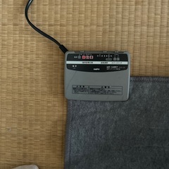 ホットカーペットの画像