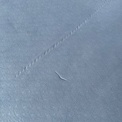 
ヨガマット、プレイマットの画像