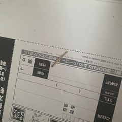 1/100百式（ゴールドメッキ）完成品の画像