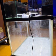 60ワイド水槽  リフジウム付きの画像