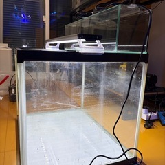 60ワイド水槽  リフジウム付きの画像