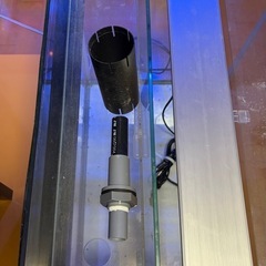 60ワイド水槽  リフジウム付きの画像