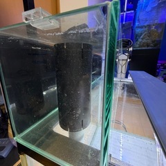 60ワイド水槽  リフジウム付きの画像