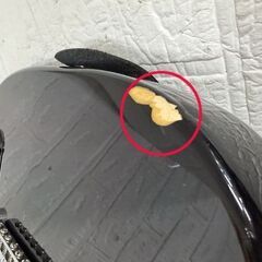 Squier テレキャスタータイプ アヴリル・ラヴィーンモデル スクワイヤ ソフトケース付き Avril Lavigne 現状 札幌市 白石店 の画像