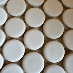 モザイクタイル　丸　白の画像