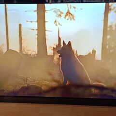 無料配送 美品 2023年 TCL 75V型 75P636 4K液晶テレビ HDR10 Youtube NETFLIX 多機能音声リモコン(335)の画像