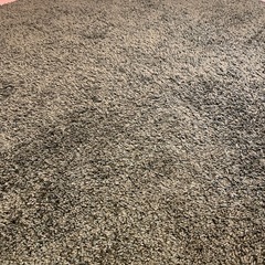 カーペット　の画像