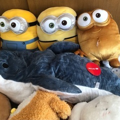 【決まりました】 大きなぬいぐるみの画像