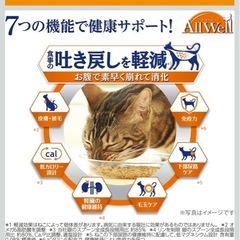 [吐き戻し軽減] All Well(オールウェル) キャットフード ドライ [室内猫用] フィッシュ 3.95kgの画像