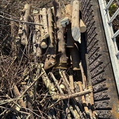 伐採した木の画像