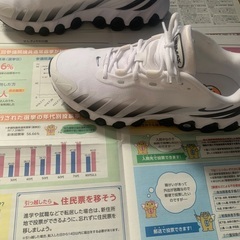 NIKE AIR MAX DN8 箱あり　12/20迄の画像