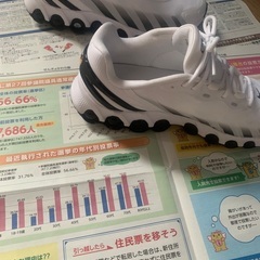 NIKE AIR MAX DN8 箱あり　12/20迄の画像