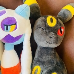 受け渡し予定者決定(18日16時半)の画像