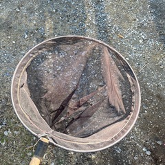 魚釣り タモの画像