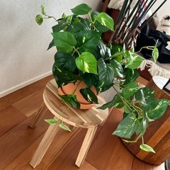 フェイクグリーン　ポトス　鉢付きの画像