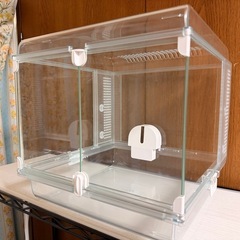 GEX Glass Harmony 300 Cubeの画像