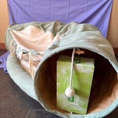 猫トンネルの画像