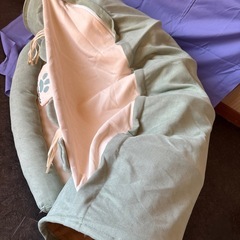 猫トンネルの画像