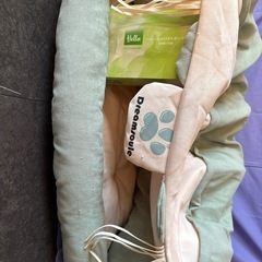 猫トンネルの画像